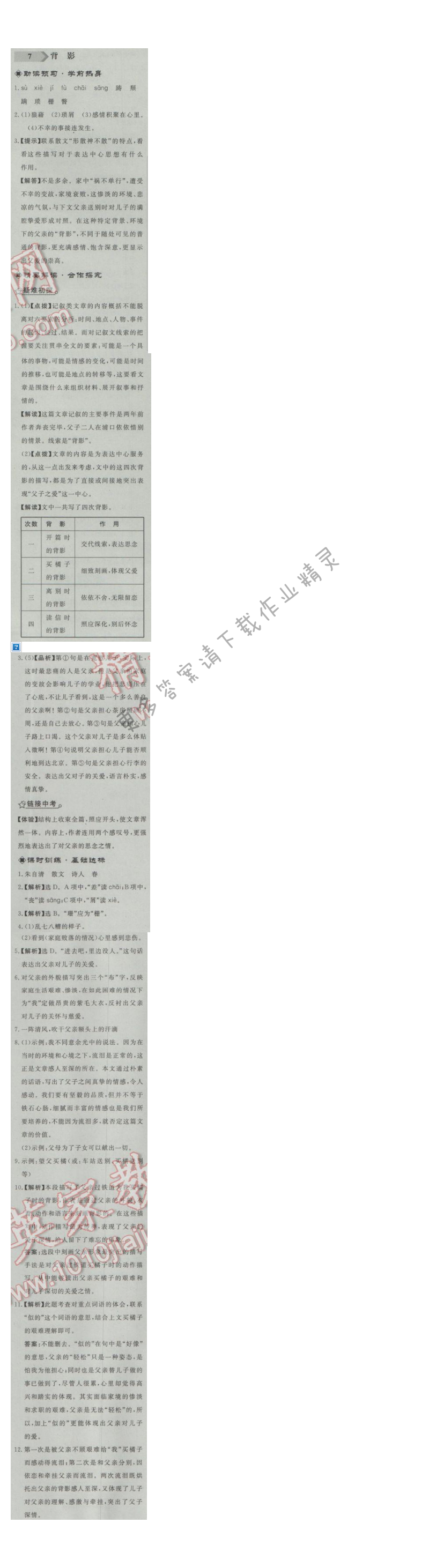 同步练习册八年级语文上册人教版 7.背影