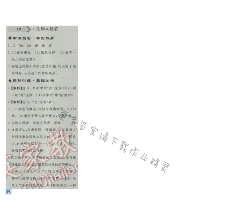 同步练习册八年级语文上册人教版 19.生物入侵者