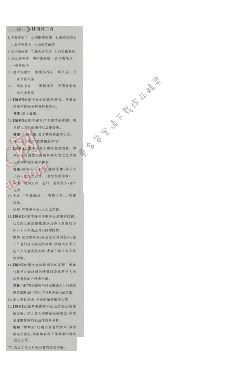 同步练习册八年级语文上册人教版 25. 杜甫诗三首