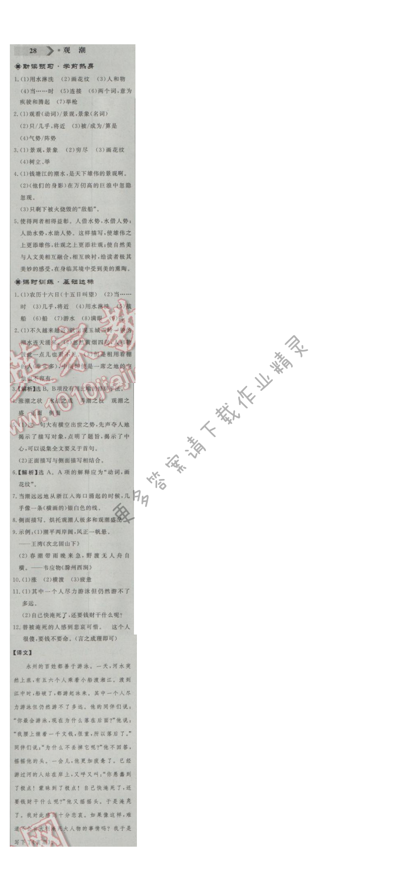 同步练习册八年级语文上册人教版 28.观潮