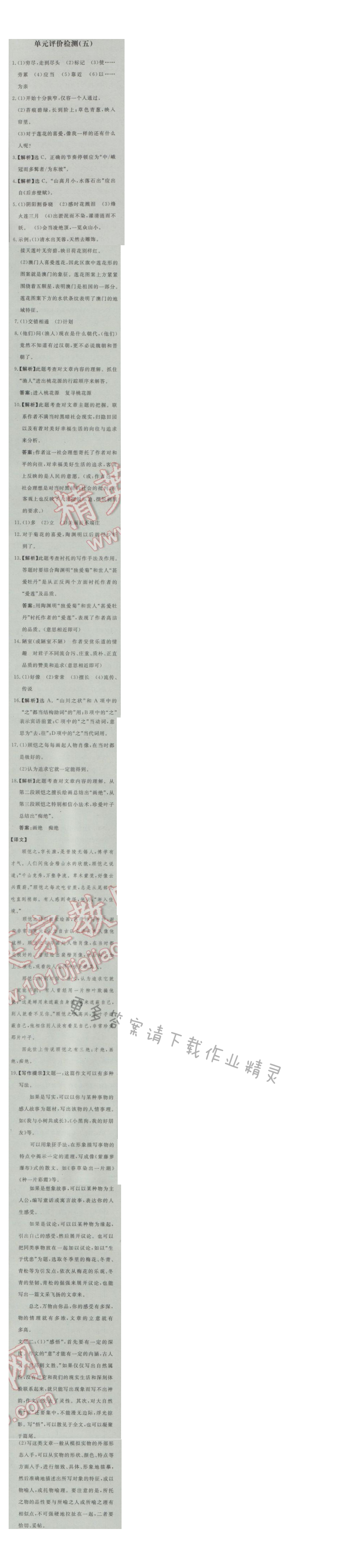 同步练习册八年级语文上册人教版 单元评价检测(五)