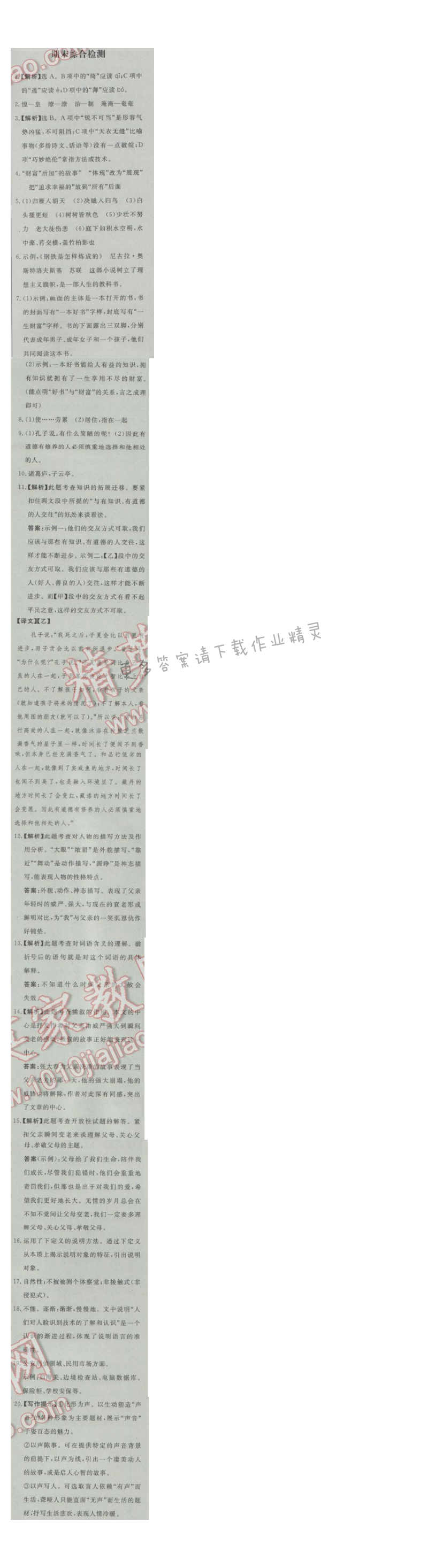 同步练习册八年级语文上册人教版 期末综合检测