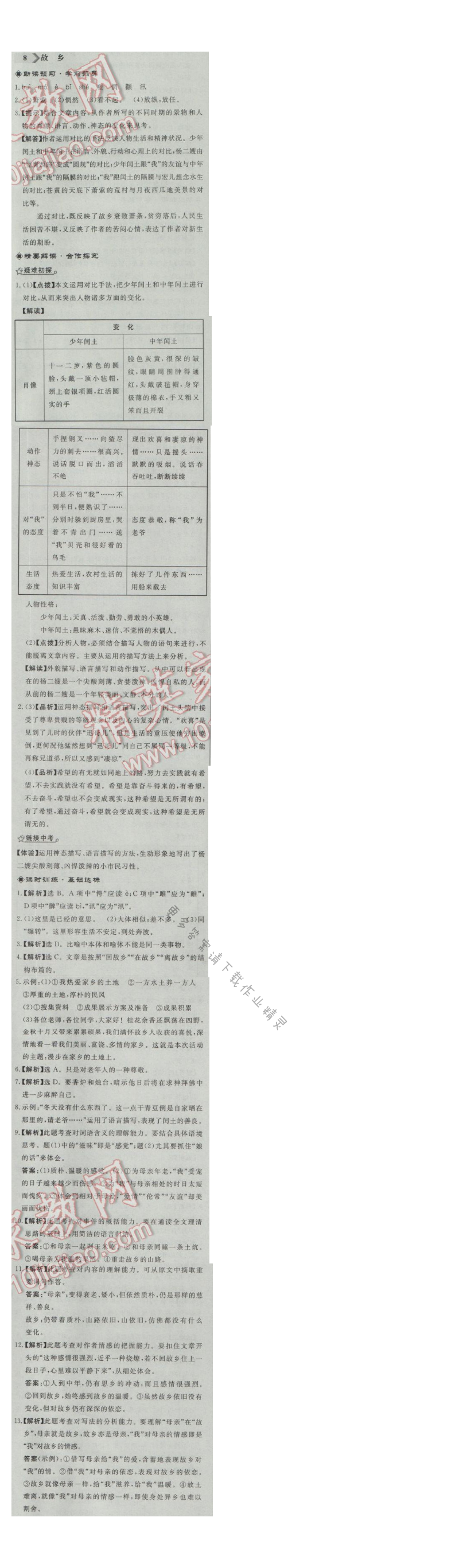 同步练习册九年级语文上册人教版 8.故乡