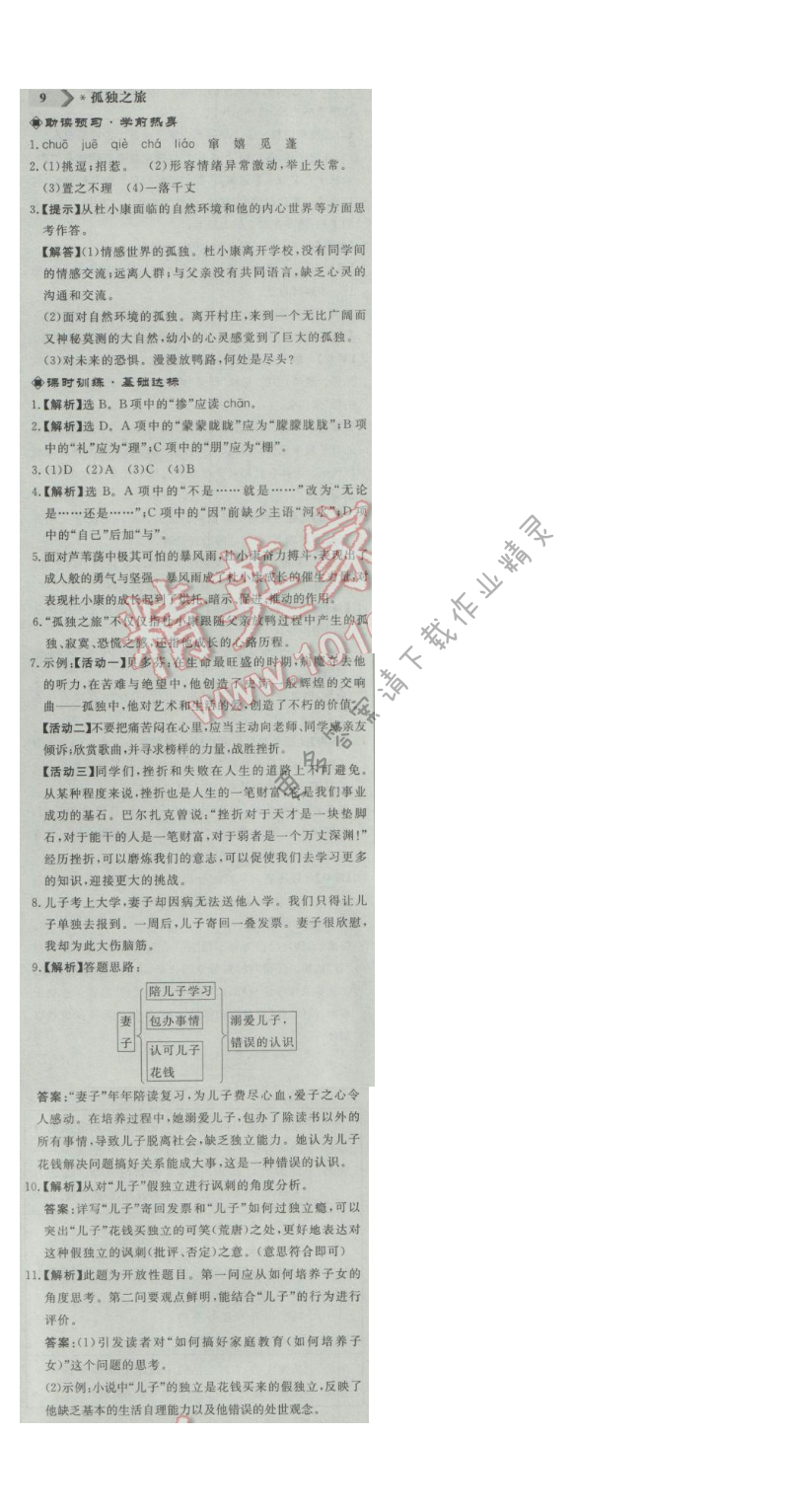 同步练习册九年级语文上册人教版 9.孤独之旅