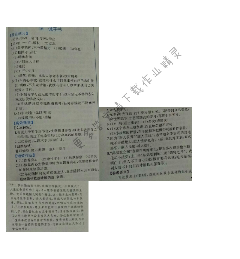 金学典同步解析与测评七年级语文上册（人教版）16.诫子书