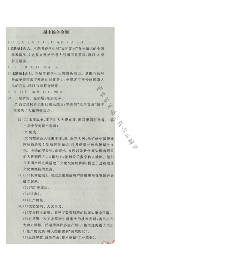 同步练习册九年级历史上册人教版 期中综合检测