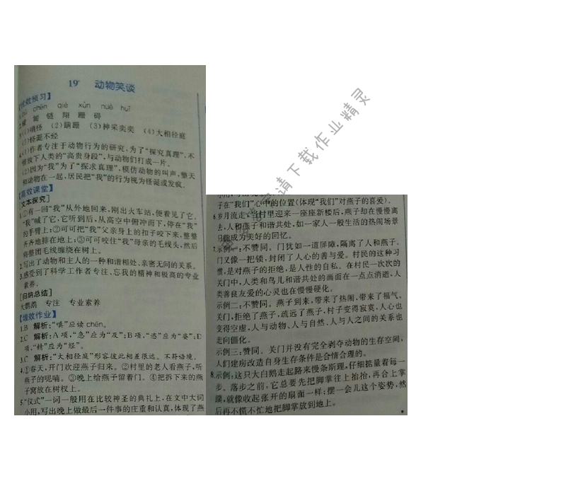 金学典同步解析与测评七年级语文上册（人教版）19.动物笑谈