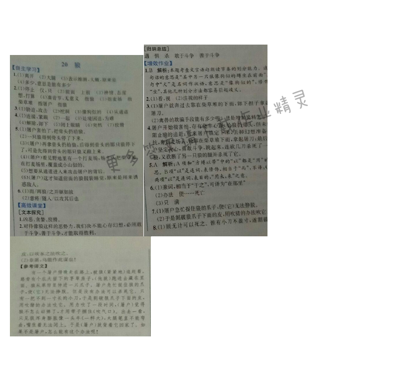 金学典同步解析与测评七年级语文上册（人教版）20.狼