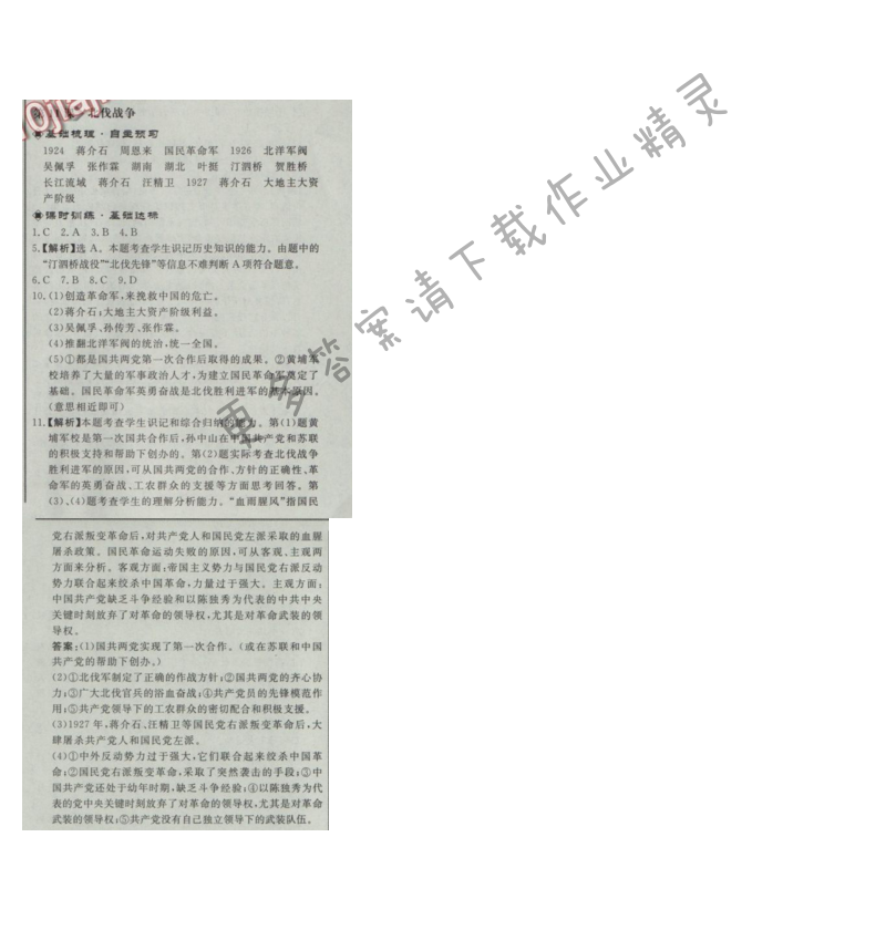 同步练习册八年级历史上册人教版 第11课 北伐战争
