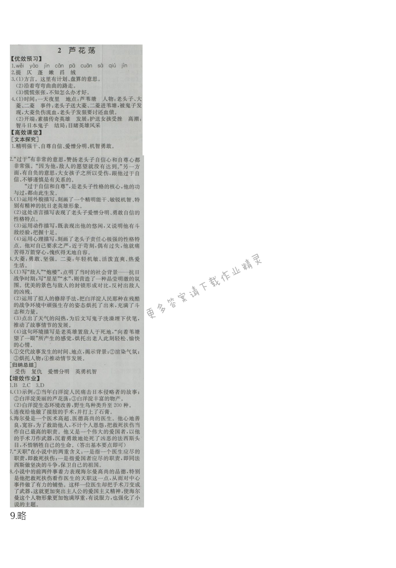 金学典同步解析与测评八年级语文上册（人教版）2.芦花荡