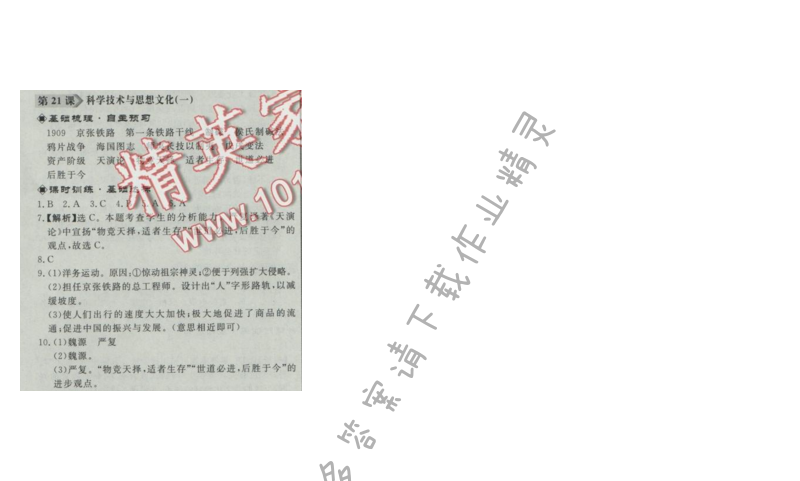 同步练习册八年级历史上册人教版 第21课 科学技术与思想文化(一)