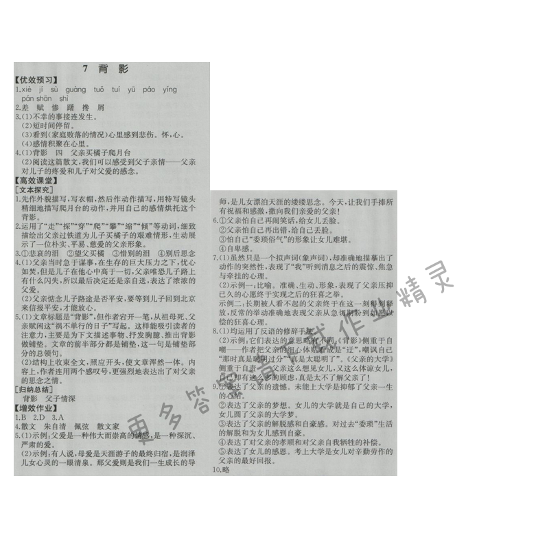 金学典同步解析与测评八年级语文上册（人教版）7.背影