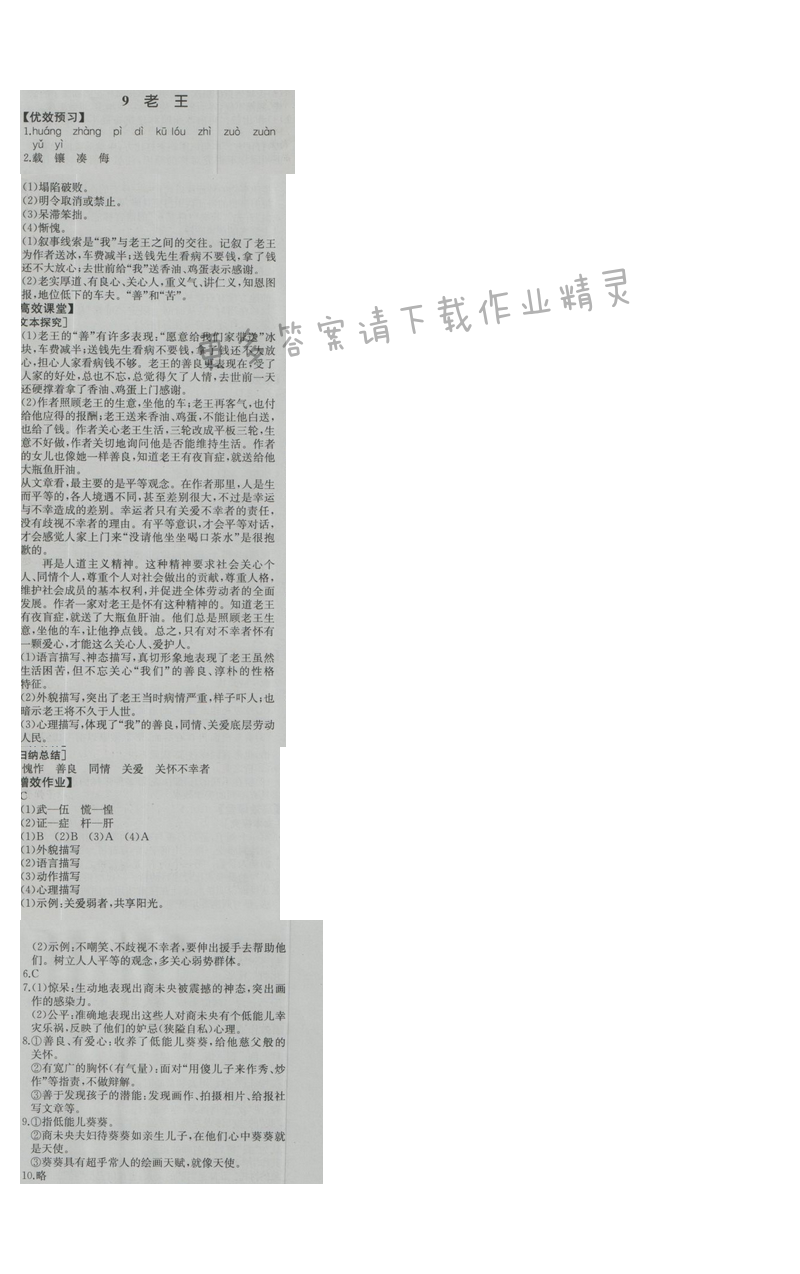 金学典同步解析与测评八年级语文上册（人教版）9.老王