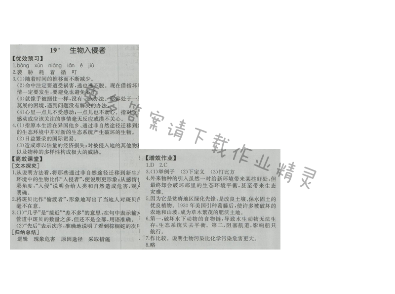 金学典同步解析与测评八年级语文上册（人教版）19.生物入侵者