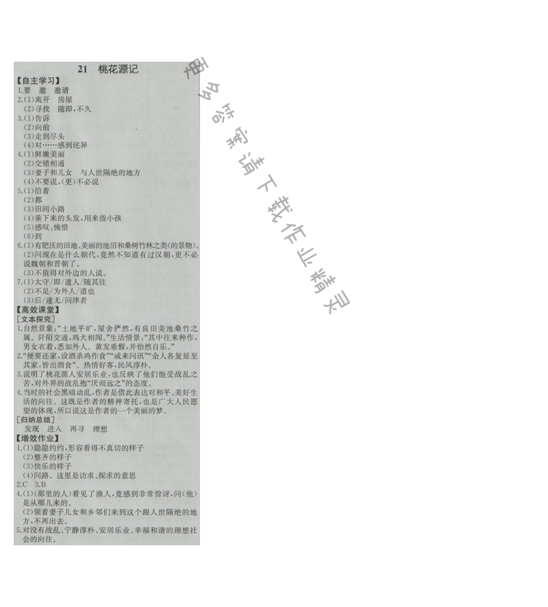 金学典同步解析与测评八年级语文上册（人教版）21.桃花源记