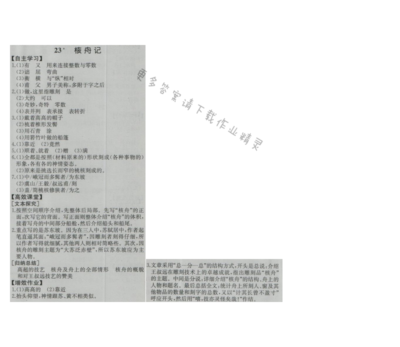 金学典同步解析与测评八年级语文上册（人教版）23.核舟记