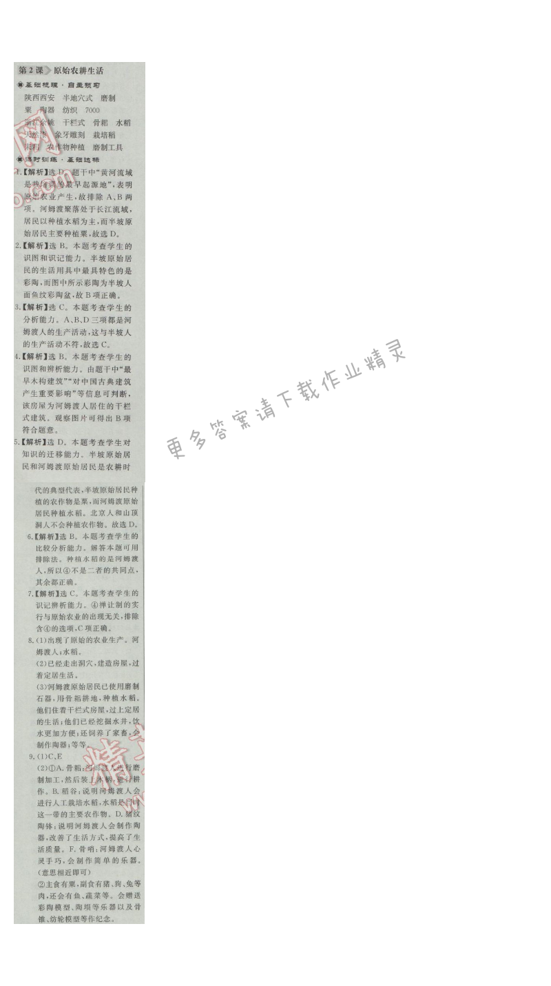 同步练习册七年级历史上册人教版 第2课 原始农耕生活