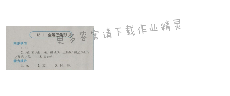 金学典同步解析与测评八年级数学上册（人教版）12.1全等三角形
