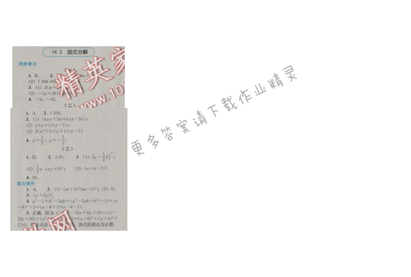 金学典同步解析与测评八年级数学上册（人教版）14.3因式分解