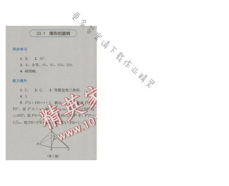 金学典同步解析与测评九年级数学上册（人教版）23.1图形的旋转