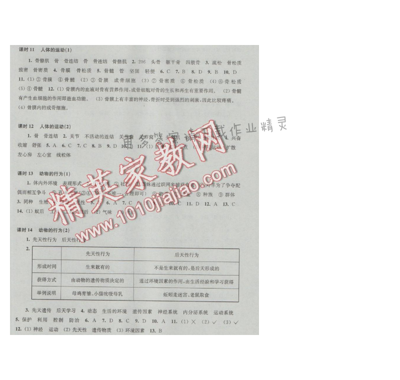 同步练习八年级生物学上册苏科版 第17章 动物的运动和行为