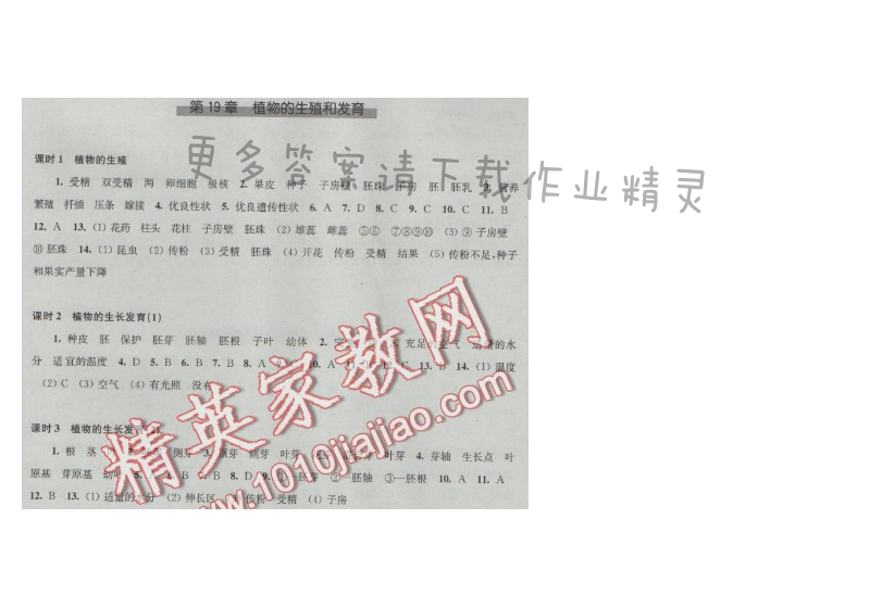 同步练习八年级生物学上册苏科版 第19章 植物的生殖和发育