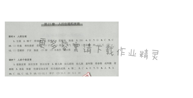 同步练习八年级生物学上册苏科版 第21章 人的生殖和发育