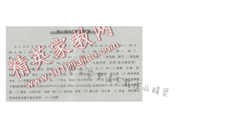 同步练习八年级生物学上册苏科版 第6单元自我检测