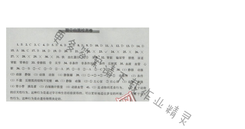 同步练习八年级生物学上册苏科版 期中自我检测