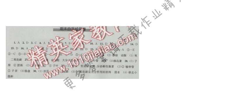 同步练习八年级生物学上册苏科版 期末自我检测