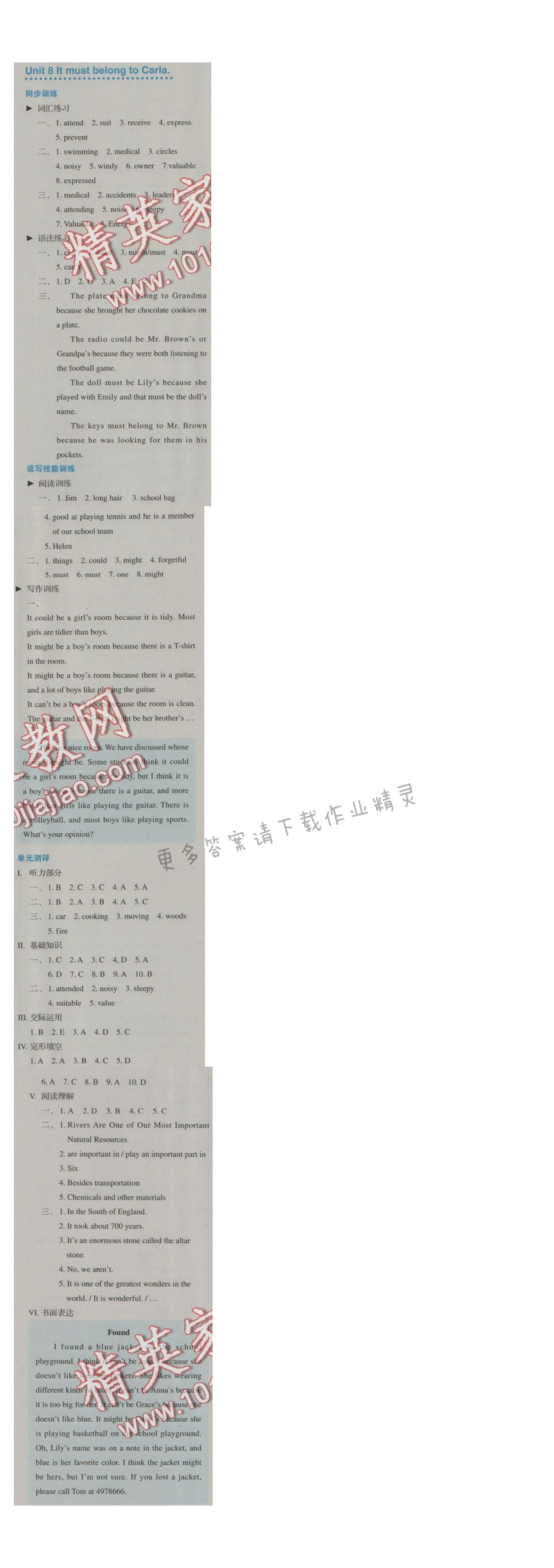 金学典同步解析与测评九年级英语全一册（人教版）Unit 8