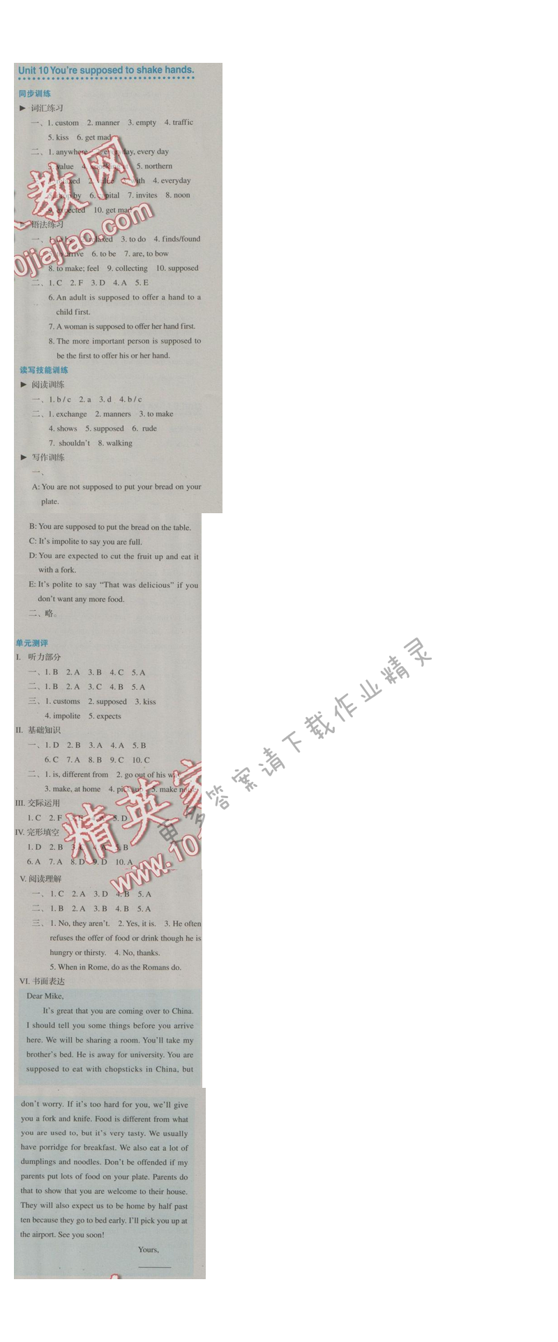 金学典同步解析与测评九年级英语全一册（人教版）Unit 10