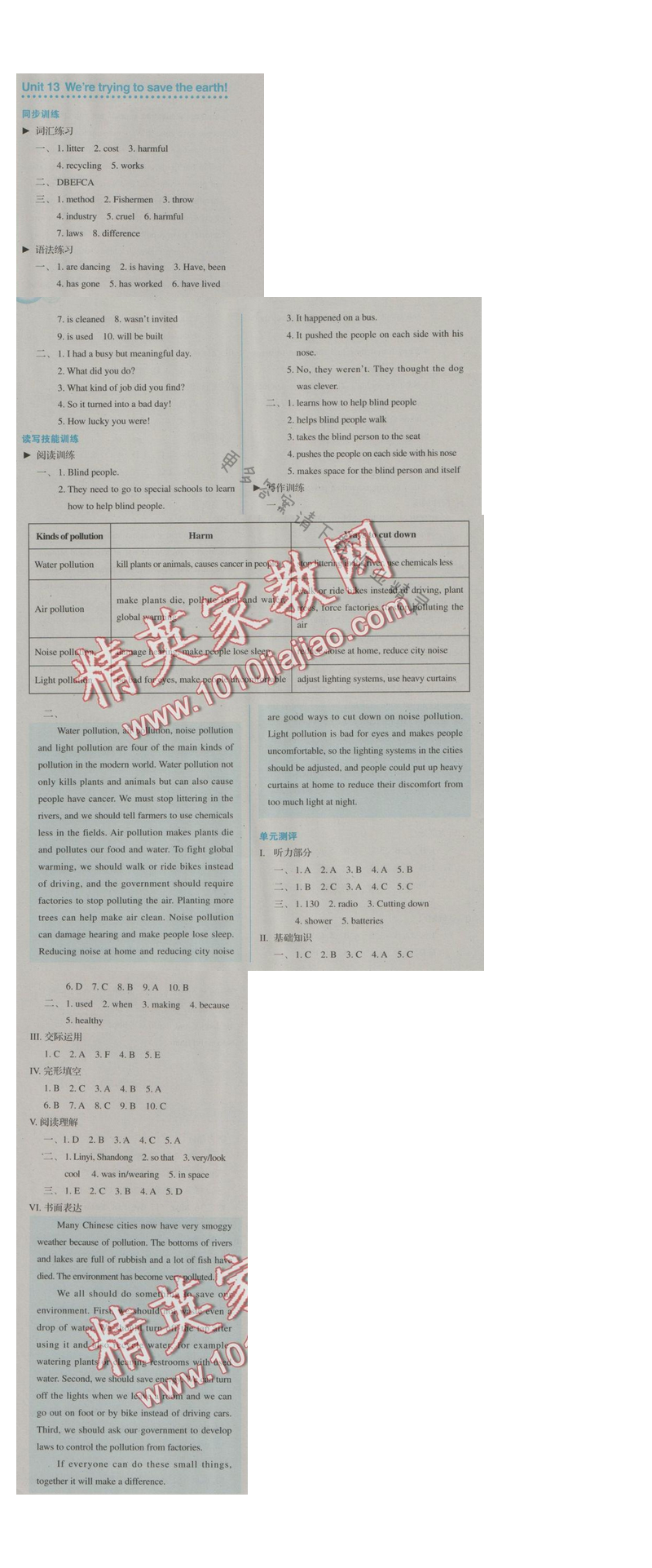 金学典同步解析与测评九年级英语全一册（人教版）Unit 13