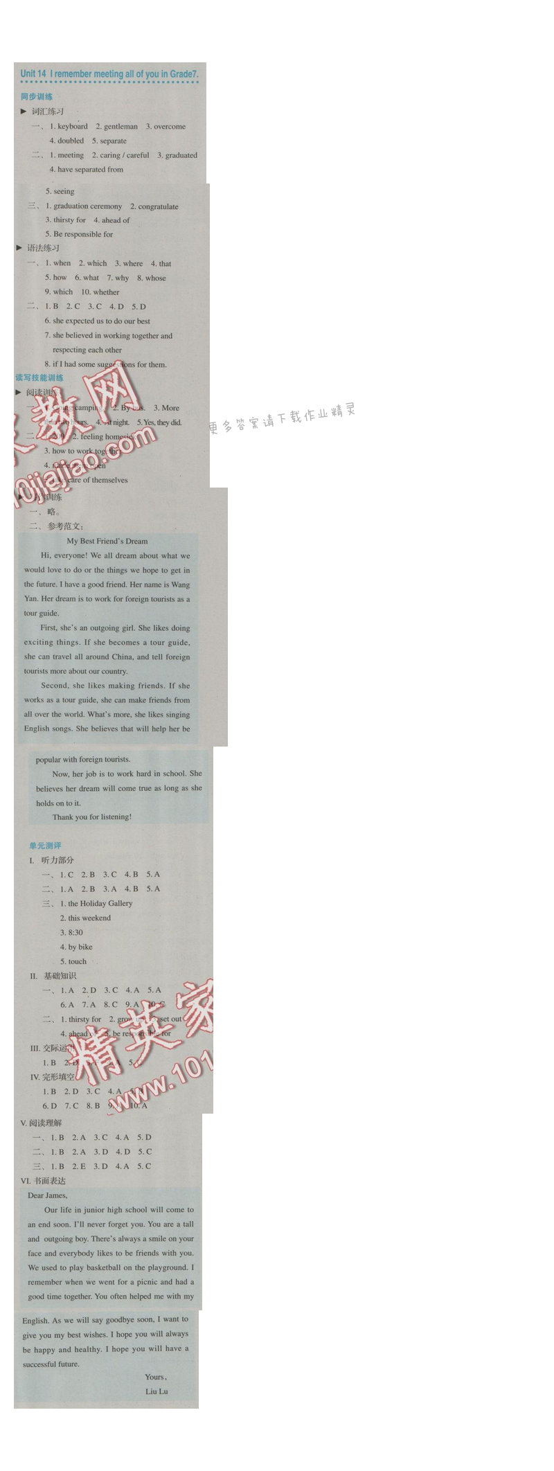 金学典同步解析与测评九年级英语全一册（人教版）Unit 14