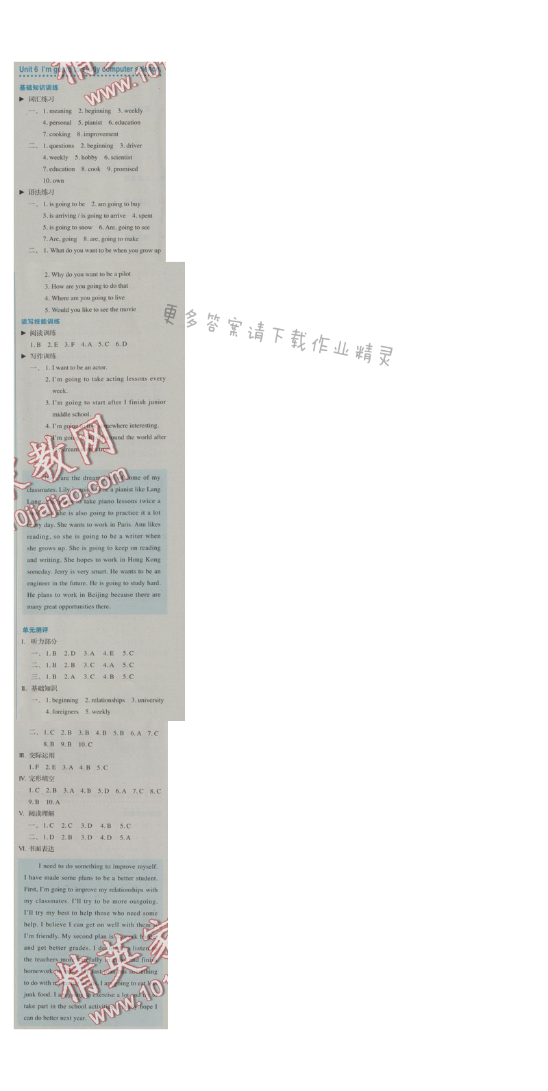 金学典同步解析与测评八年级英语上册（人教版）Unit 6