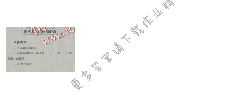 金学典同步解析与测评八年级物理上册（人教版）第五章第4节