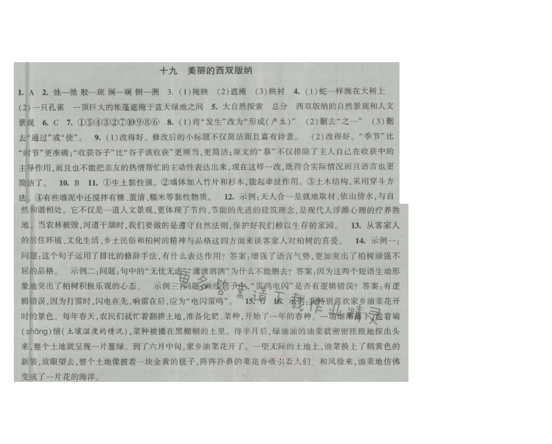 经纶学典新课时作业八年级语文上册江苏版 十九 美丽的西双版纳