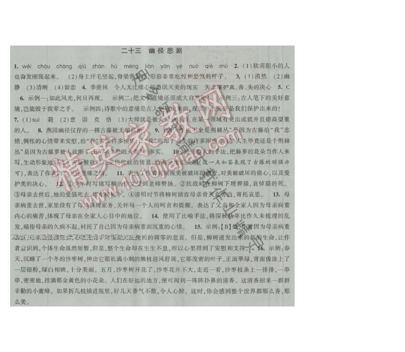 经纶学典新课时作业八年级语文上册江苏版 二十三 幽静悲剧