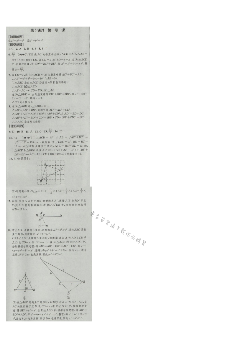 经纶学典新课时作业八年级数学上册江苏版 第5课时 复习课