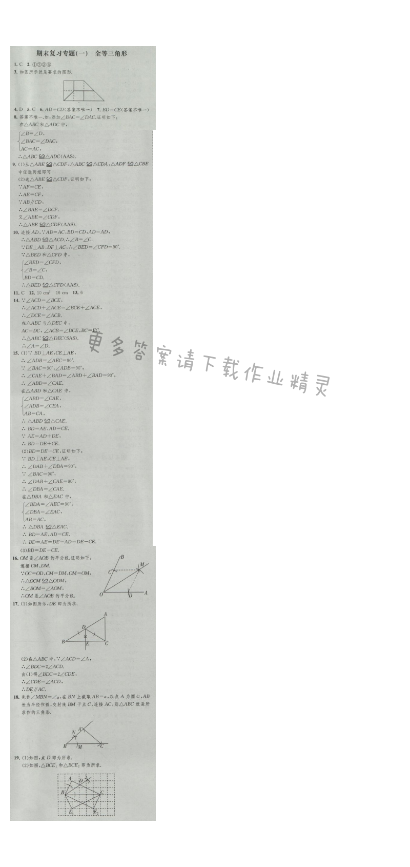 经纶学典新课时作业八年级数学上册江苏版 期末复习专题(一) 全等三角形