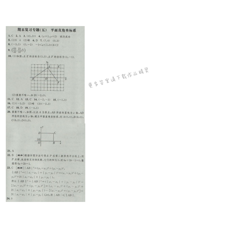 经纶学典新课时作业八年级数学上册江苏版 期末复习专题(五) 平面直角坐标系