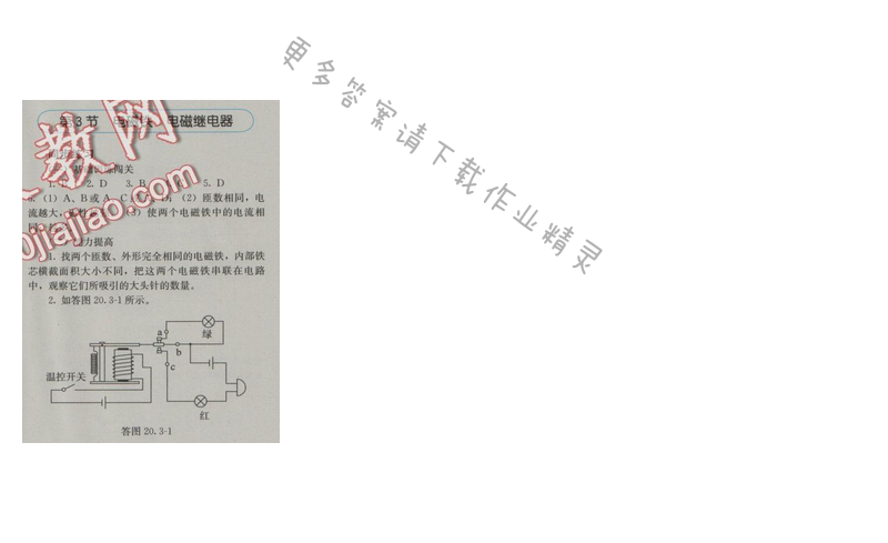 金学典同步解析与测评九年级物理全一册（人教版）第二十章第3节