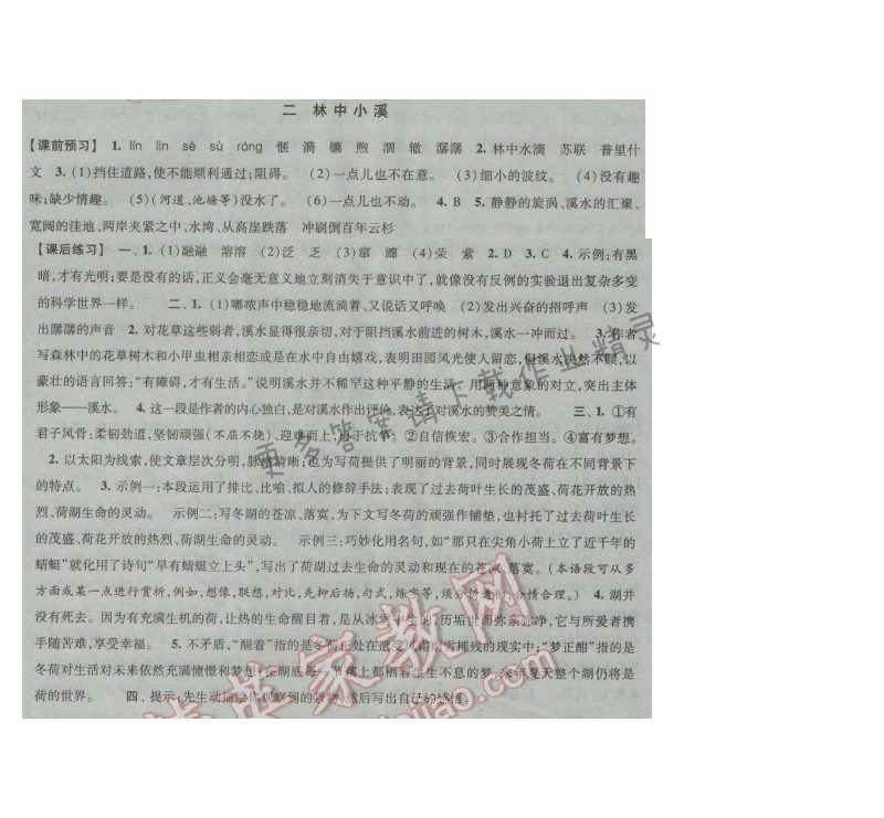 经纶学典新课时作业九年级语文上册江苏版 二 林中小溪