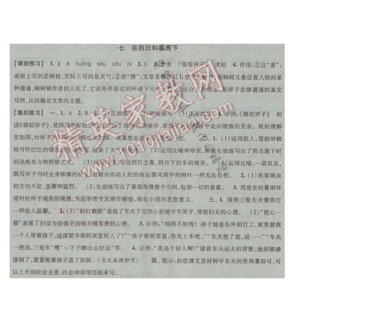 经纶学典新课时作业九年级语文上册江苏版 七 在烈日和暴雨下
