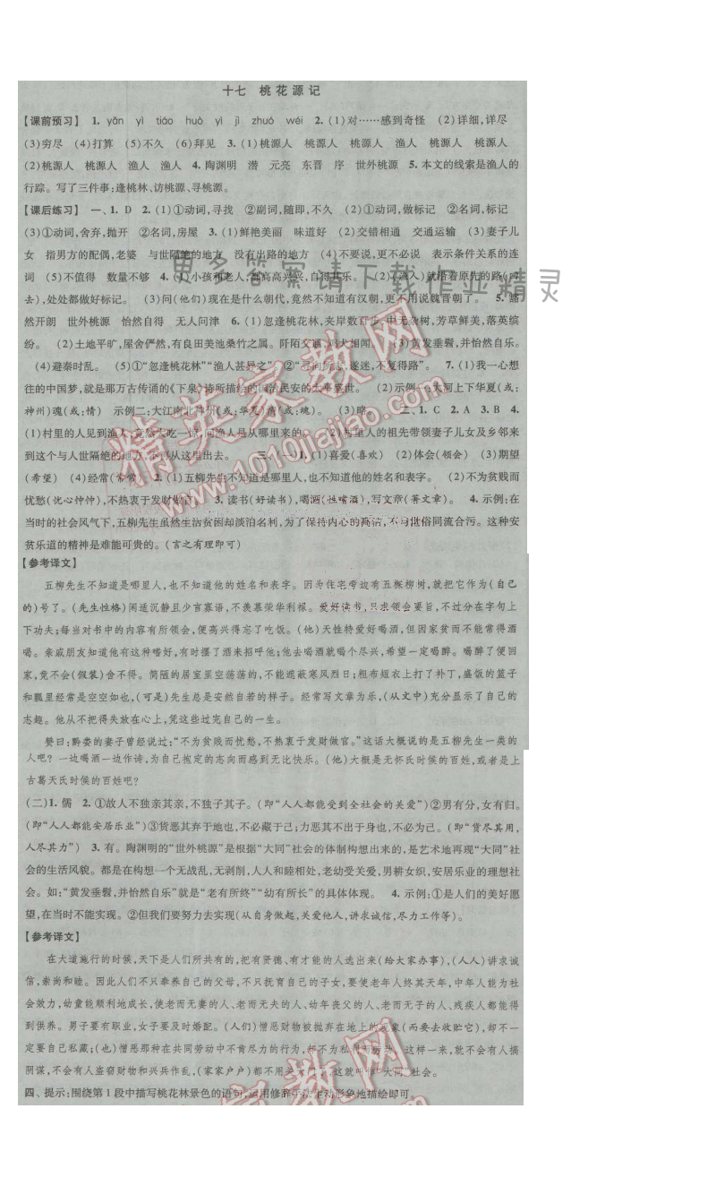 经纶学典新课时作业九年级语文上册江苏版 十七 桃花源记