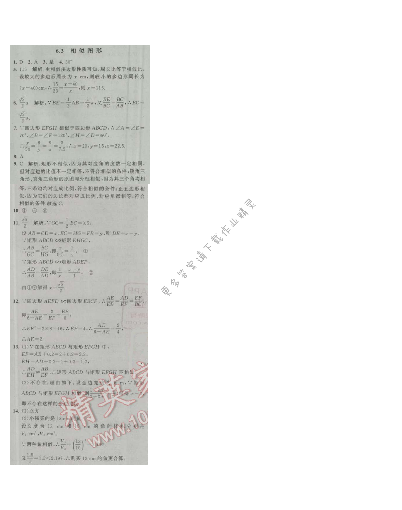 经纶学典学霸九年级数学上册江苏版 6.3 相似图形