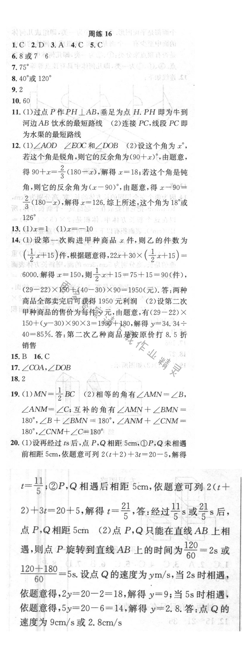 提优训练非常阶段123七年级数学上册江苏版 周练16