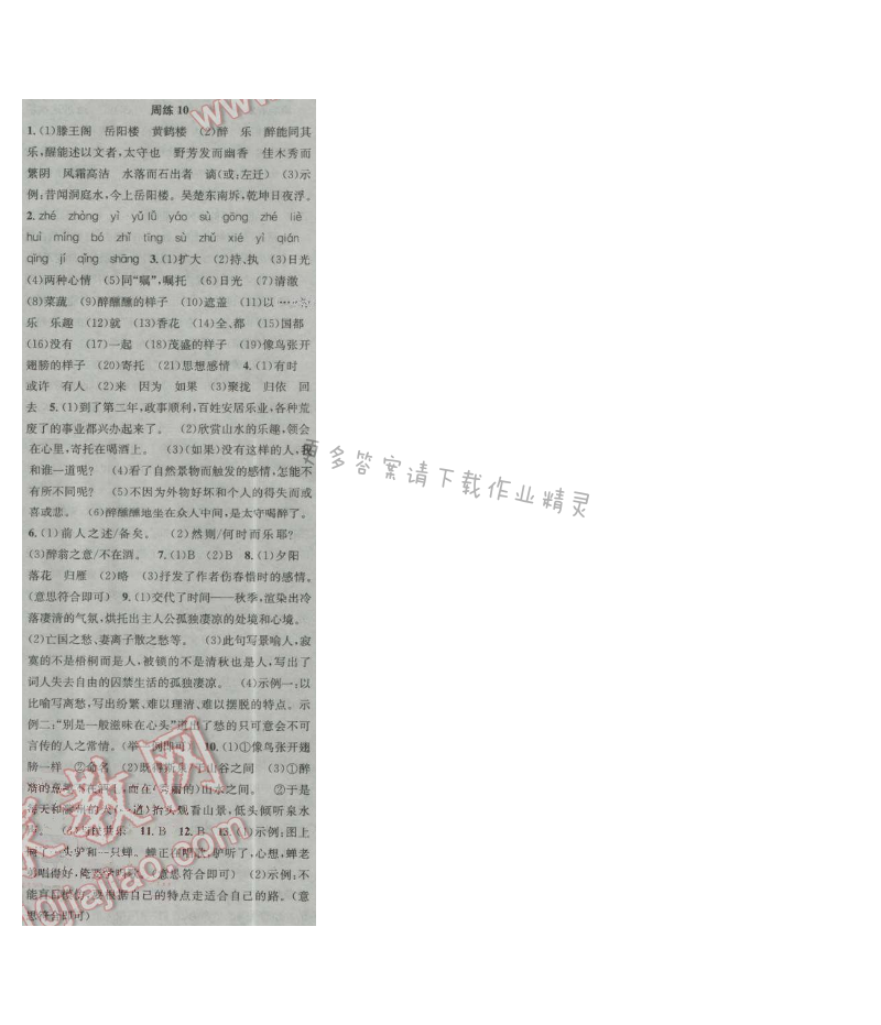 提优训练非常阶段123九年级语文上册江苏版 周练10
