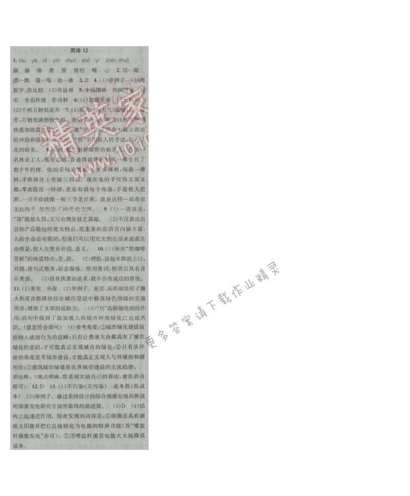 提优训练非常阶段123九年级语文上册江苏版 周练12