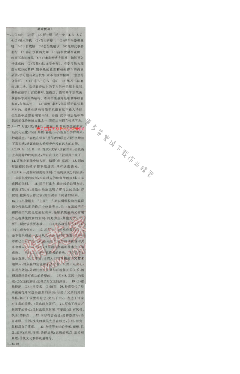 提优训练非常阶段123九年级语文上册江苏版 期末复习1